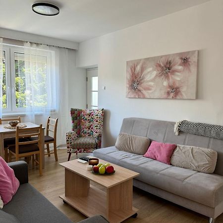 Apartmán Apartman Marina Centar Vrnjačka Banja Exteriér fotografie