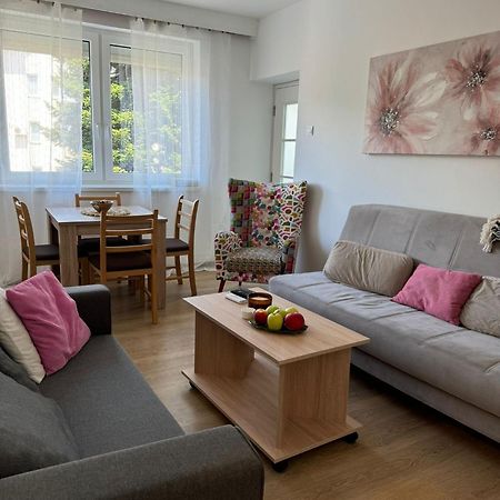 Apartmán Apartman Marina Centar Vrnjačka Banja Exteriér fotografie